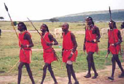 Maasai walking